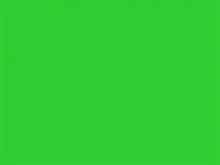 Prenesite sliku u preglednik galerije, Kratke hlače za punije MAXFORT Dunk Više boja veličine 60 do 80